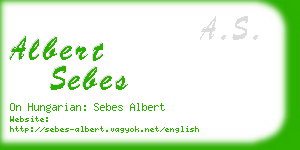 albert sebes business card